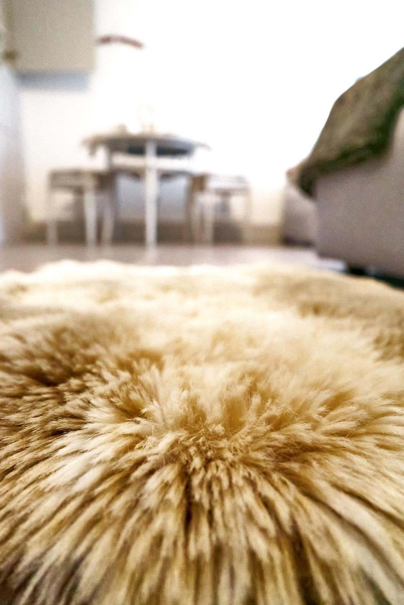 Double Room By Interlaken. Parking Därligen Εξωτερικό φωτογραφία